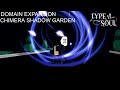(Shadow) MEGUMI BUILD IS CRAZY | TYPE://:SOUL