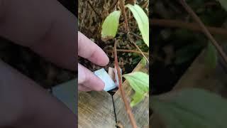 30 Euros In Cash Money