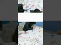 #플라워치료연구원 #고등학교출강수업 #플라워테라피수업 #윤다예힐링강사