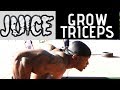 Get Massive Triceps without Weights