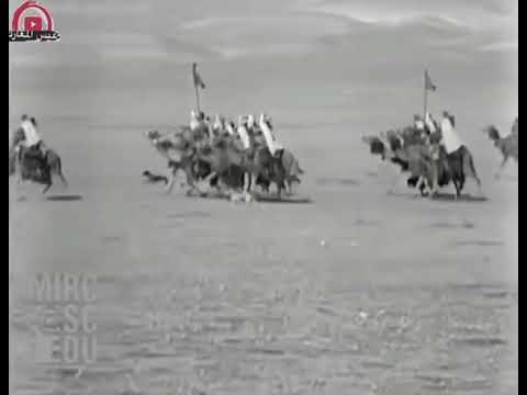 معركة حليف الرشايده بني رشيد و قبيله حرب ضد فرسان قبيله عنزه بقياده الشيخ مشل العواجي