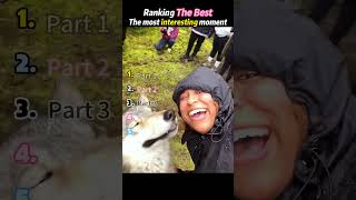 Loyal and powerful wolfhound#foryou #funny #pets #cat #dog #fyp #top