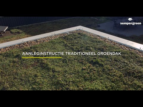 Video: WKK, Sport En Groendak