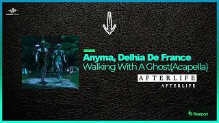 Video thumbnail of "Anyma, Delhia De France - Walking With A Ghost (Acapella) [Afterlife Rec] AL082"