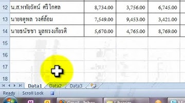 Macro  สนุก: เบื้องต้น การ Record Macro