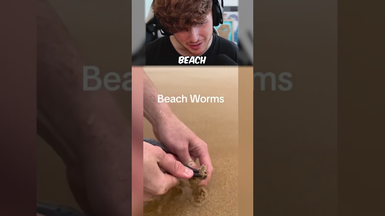 SUPER CUTE Beach Worm…