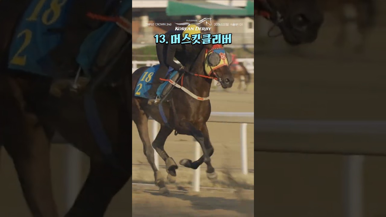 13.[서]머스킷클리버 #코리안더비 #트리플크라운