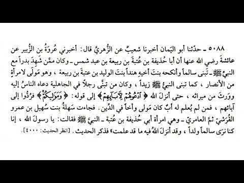 5088 حديث وكان من تبنى رجلا في الجاهلية دعاه الناس إليه وورث صحيح البخاري