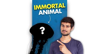 This Mysterous Animal Can Never Die