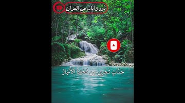 وعد الله المؤمنين والمؤمنات جنات تجري من تحتها الأنهار  | رعد الكردي ( تلاوة خاشعة)