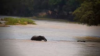 Crossing the Olifants River