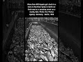More than 600 kayaks got stuck in a lock on the River Spree in Berlin