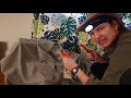 Dinosaurios / Apprendre en espagnol - Learn in Spanish - Aprender en español