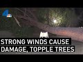 Strong Winds Topple Trees, Damage Cars Throughout SoCal | NBCLA