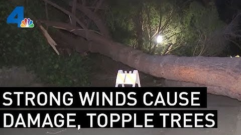 Strong Winds Topple Trees, Damage Cars Throughout SoCal | NBCLA