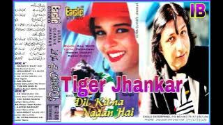 Aaye Gi Barsat Kahan Jayen Gey.(((Eagle Ultra Classic Jhankar))) Kumar Sanu & Alka