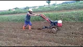 pembajak tanah paling d minati