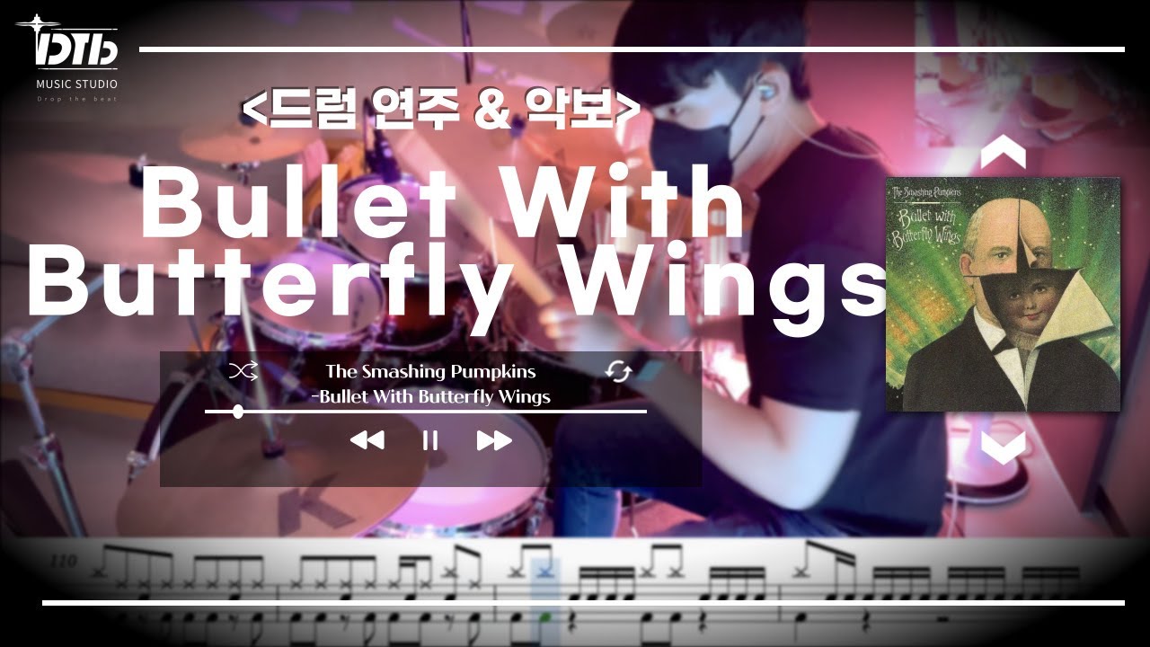 bullet with butterfly wings lyrics