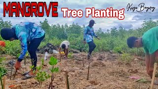 EP44: Mangrove tree planting in the Philippines