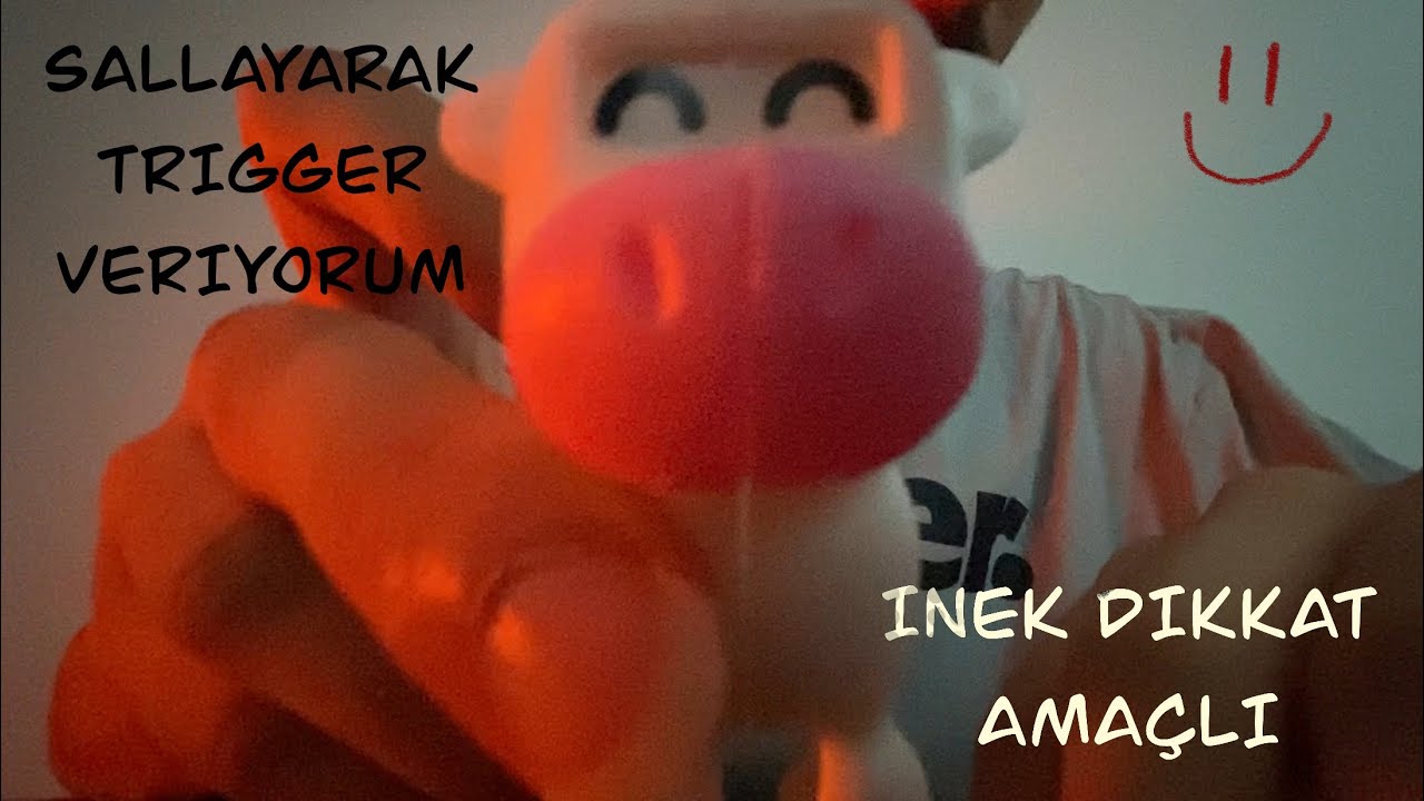 bi şeyleri sallayarak seni rahatlatıcam •türkçe asmr