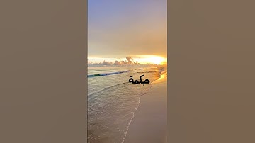 اجمل تلاوات اليوم#music #quran #اصوات_جميلة #قران_كريم #duet