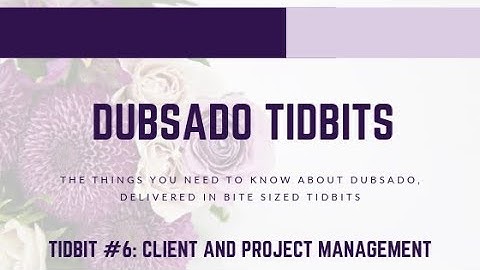 Dubsado Tidbit #6: Dubsado Features - Client and Project Management