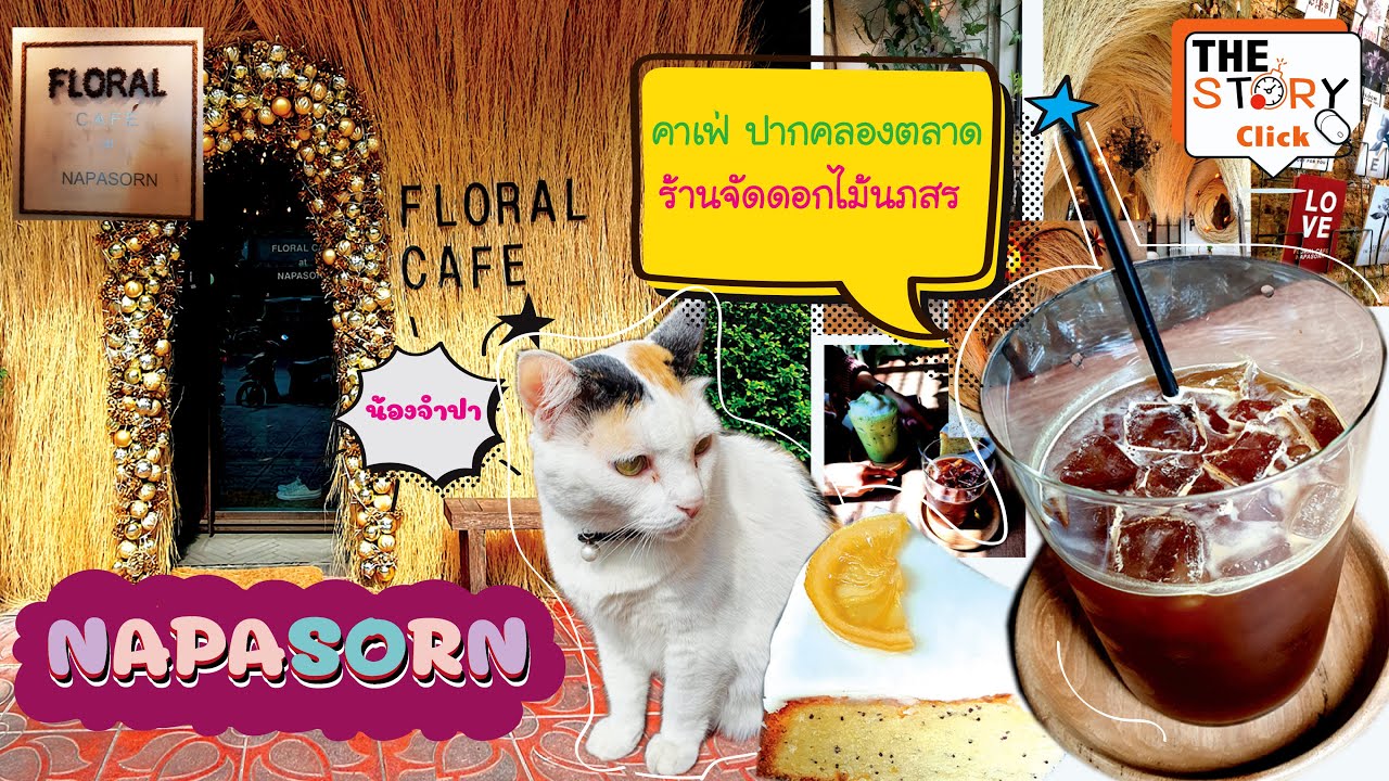 นภสร คาเฟ่  2022 New  EP.38 Floral Cafe’ Napasorn คาเฟ่ดอกไม้ปากคลองตลาด | แมวเหมียวจำปา |ร้านดอกไม้นภสร | pakkhlongtalat