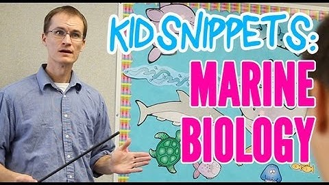 Kid Snippets: "Marine Biology" (Imagined by Kids)