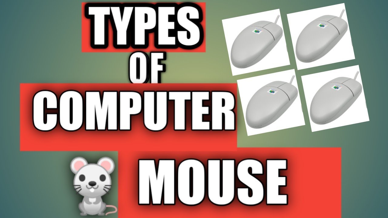 Different types of computer mouse What is computer mouse YouTube