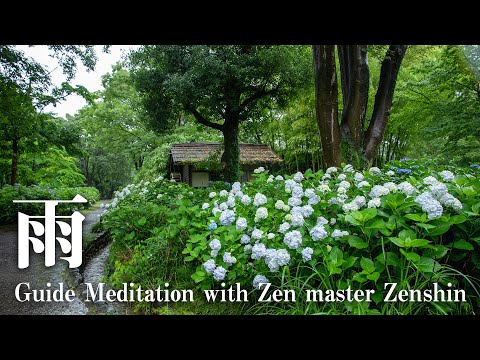 Nature Sound Rain | Guided Meditation with Zen master Zenshin - deep relaxation
