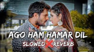 Ago Ham Hamar Dil A Jan Tino Tohar Ha (Sloved And Reverb) × Lofi Song | Khesari Lal Yadav | BHOJPURI