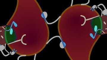 BFB intro but with audio in upside down