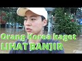 [Banjir Jakarta] Orang Korea Kaget Lihat BANJIR di JAKARTA Pertama Kali