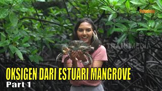 OKSIGEN DARI ESTUARI MANGROVE | JEJAK PETUALANG (30/08/23) Part 1