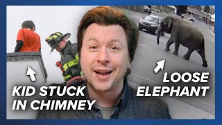 Loose Circus Elephant Roams Montana, Mascot Meeting, Boy Trapped In Chimney | Weird News by News Refresh 52 views 4 weeks ago 4 minutes, 42 seconds