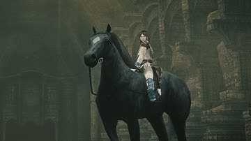 Shadow of the Colossus PS2 Fan Remaster | Particles Test