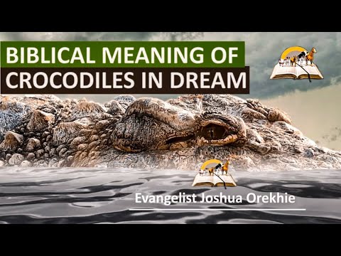 Video: Why Is The Crocodile Dreaming