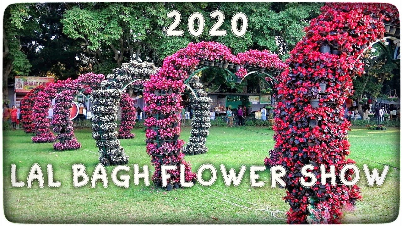 Lalbagh flower show.. YouTube