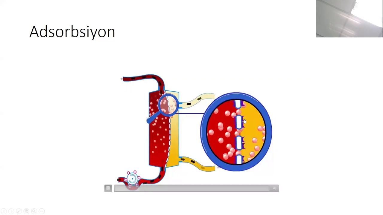 Doç. Dr. Ebru Ersoy Ortaç 