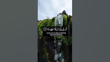 سورة النساء بصوت طارق محمد | والله يريد ان يتوب عليكم | اكتب شئ تؤجر عليه 🤍 | #القرآن_الكريم