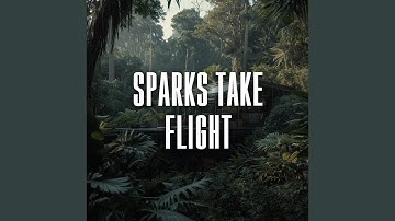sparks take flight