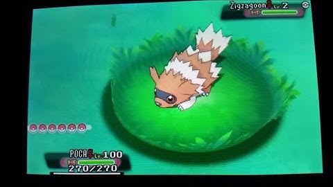 My 1st Thanksgiving Shiny Zigzagoon DexNav 507