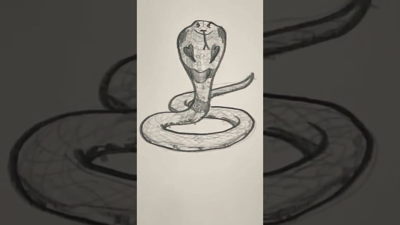 Snake Drawing png images | PNGWing