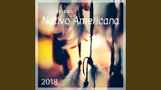 Música Nativo Americana 2018 screenshot 4