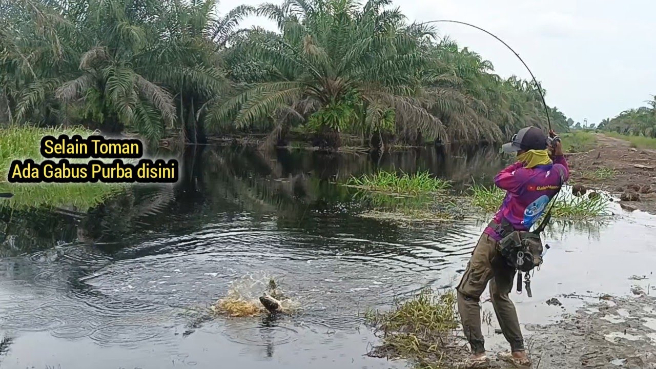 SEDAP KALI SPOT INI KALAU BANJIR