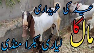 Liyari Bakra Mandi Rate Update | Karachi |June 20, 2021  | VIP EID کا مال | Sunday  | Animal Market