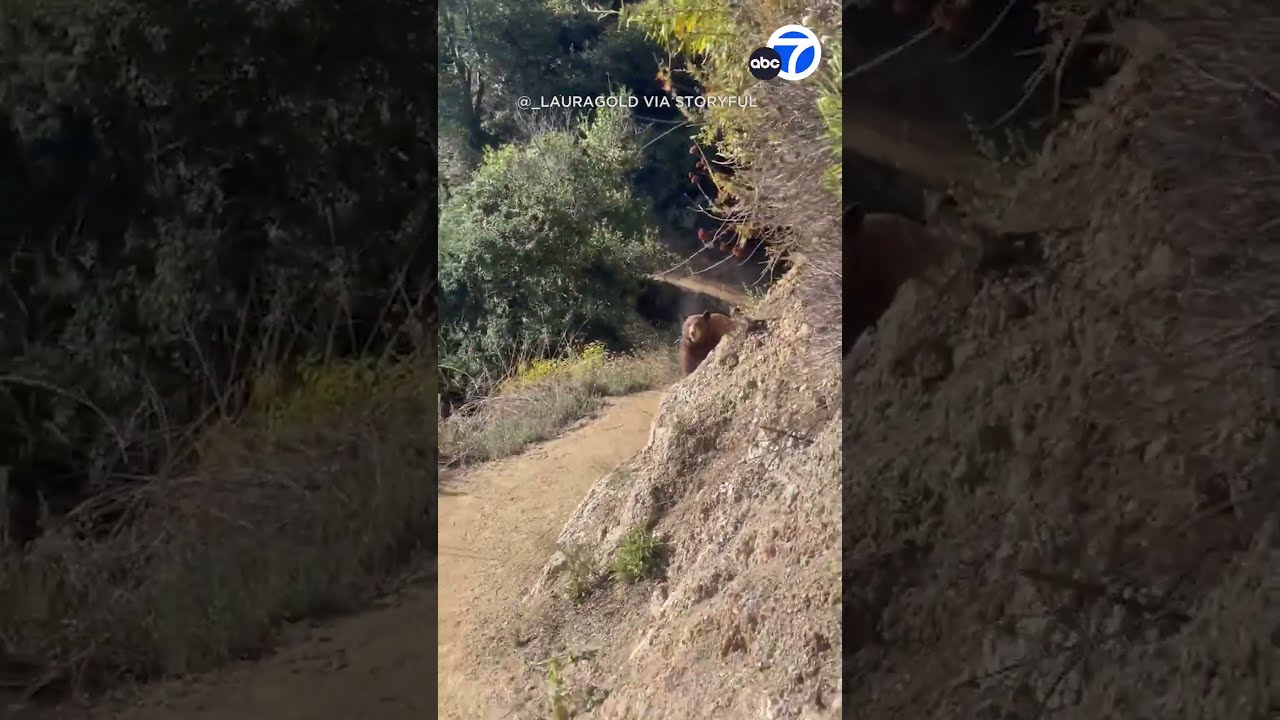 Runner faces off with bears on California hiking trail
