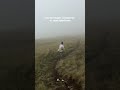 #рек #топ #горы #поход