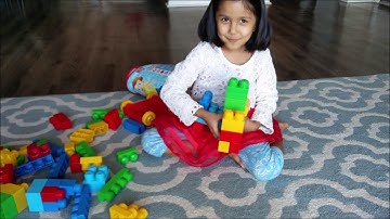 How to Build a DOG - Mega Bloks