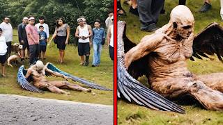 Real Cryptids Caught Clearly on Camera